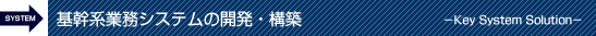 基幹系業務システムの開発・構築 -Key System Solution-